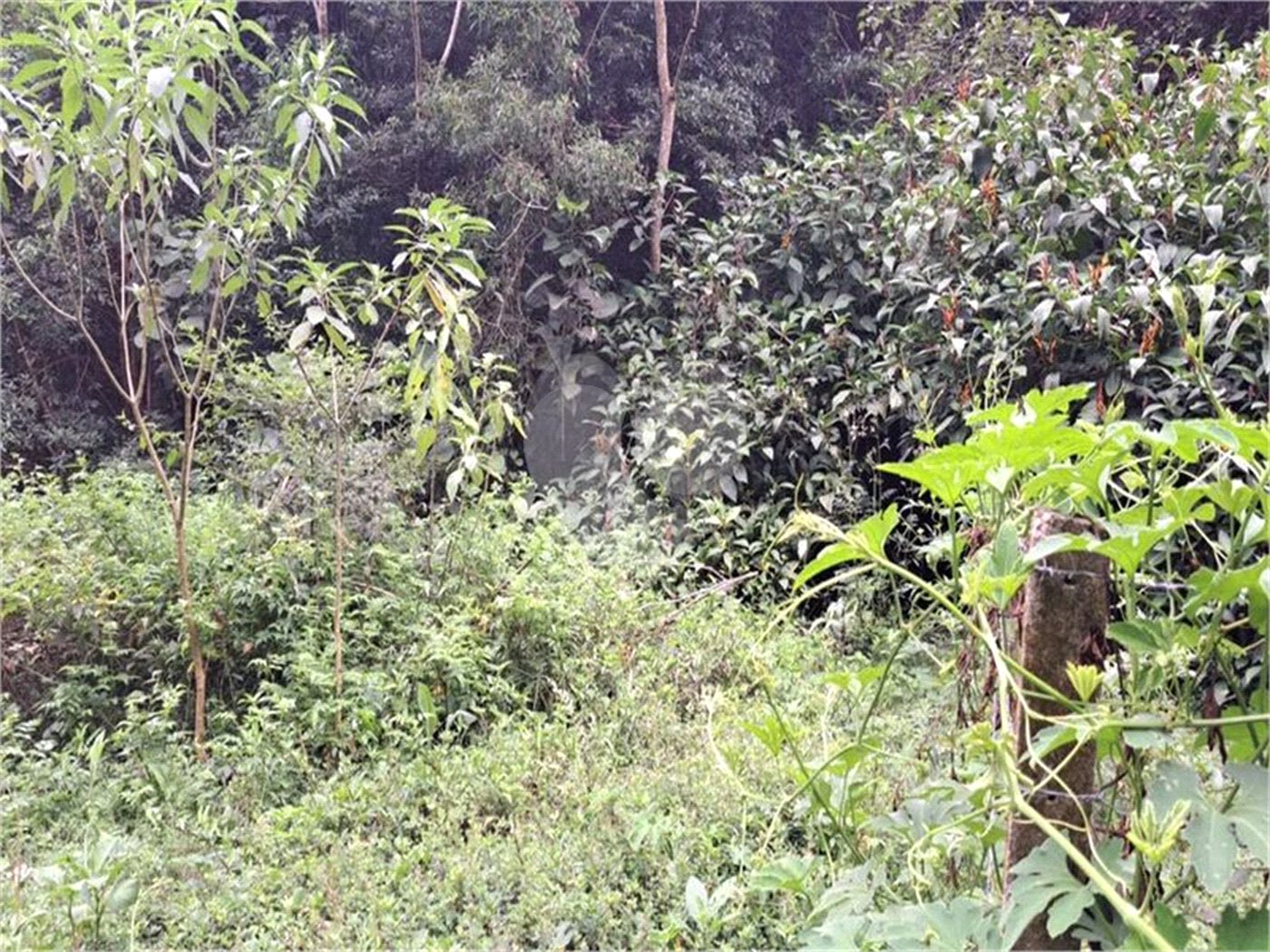 Terreno à venda no condomínio Parque Suiça, Caieiras - SP