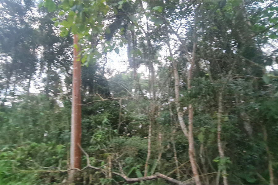 Condomínio à venda em Serra da Cantareira, Mairiporã, SP