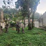 Casa Térrea à venda com 2 quartos em Horto Florestal, São Paulo, SP