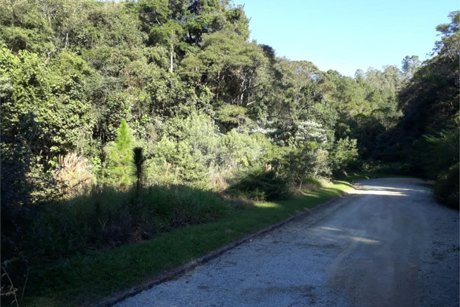 Terreno à venda em Serra da Cantareira, Mairiporã, SP