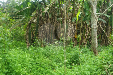 Terreno à venda em Vila Moraes, Mogi das Cruzes, SP