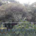 Sobrado à venda com 3 quartos, sendo 1 suíte, em Horto, São Paulo, SP
