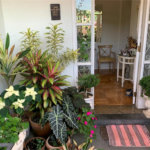 Casa à venda com 4 quartos, sendo 2 suítes,  em Tremembé, São Paulo, SP