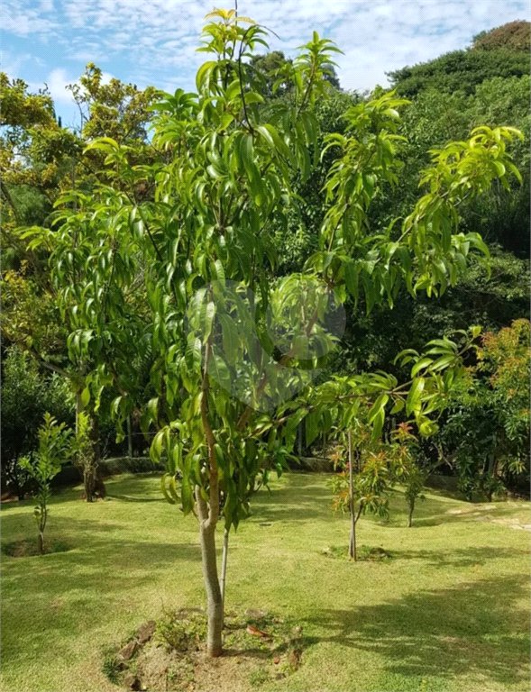 Casa à venda com 4 suítes no condomínio Monte Samkhya, Serra Negra - SP