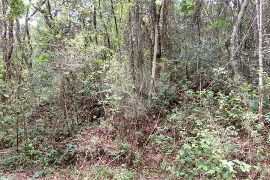 Terreno à venda no condomínio Alpes da Cantareira, Mairiporã - SP