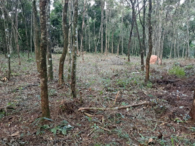 Terreno à venda em Serra da Cantareira, Mairiporã, SP