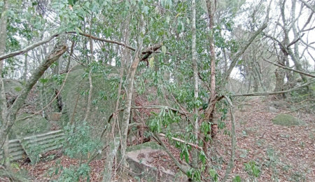 Terreno à venda em Chácaras Alpina, Valinhos, SP