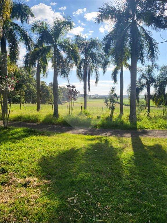 SÍTIO A VENDA - BELA VISTA