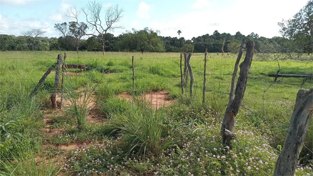 Fazenda à venda com 2 quartos no Centro, Estreito, MA