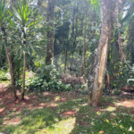 Terreno à venda no condomínio Cantareira, Mairiporã - SP