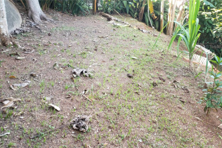 Sobrado à venda com 3 quartos, sendo 1 suíte, em Horto Florestal, São Paulo, SP