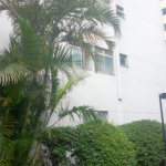 Apartamento à venda com 2 quartos em Freguesia do Ó, São Paulo, SP
