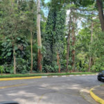 Sobrado à venda com 4 suítes em Jardim Olympia, São Paulo, SP