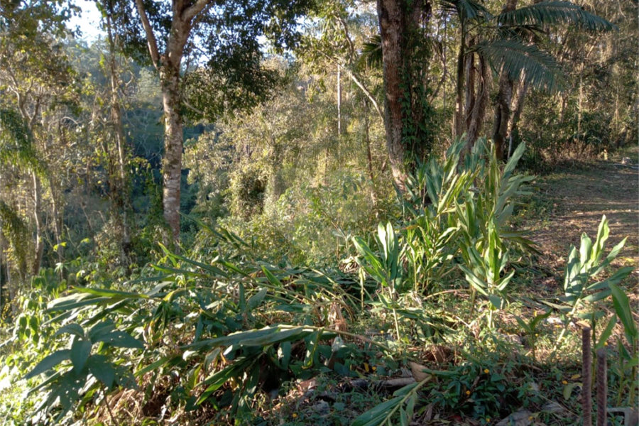 Terreno à venda no condomínio Cinco Lagos, Mairiporã - SP