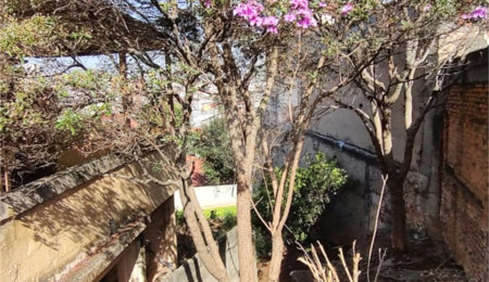 Terreno à venda em Vila Gustavo, São Paulo, SP