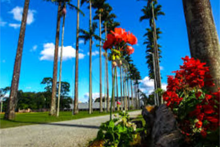 Terreno à venda em Jardim das Indústrias, São José dos Campos, SP