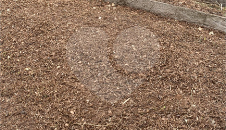 Terreno à venda em Jardim Maristela, Atibaia, SP