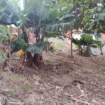 Terreno à venda em Vila Romero, São Paulo, SP
