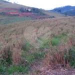 Sítio à venda no Centro, Monte Sião, MG