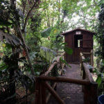 Sobrado à venda com 5 quartos, sendo 3 suítes, em Fazenda Morumbi, São Paulo, SP