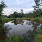 Terreno à venda em Residencial Reserva da Mata, Itapetininga, SP