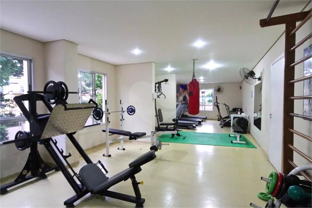 Apartamento à venda com 3 quartos em Vila Nova Cachoeirinha, São Paulo, SP