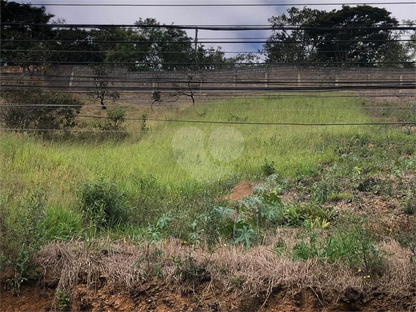 Terreno Amplo à Venda – 528 m² no Jardim Quisisana/MG