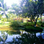 Chácara à venda com 3 quartos, sendo 1 suíte, em Área Rural de Louveira, Louveira, SP