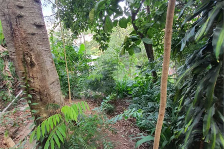 Loteamento à venda em Jardim Amália, São Paulo, SP