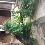 Sobrado à venda com 6 quartos, sendo 3 suítes,  em Rolinópolis, São Paulo, SP