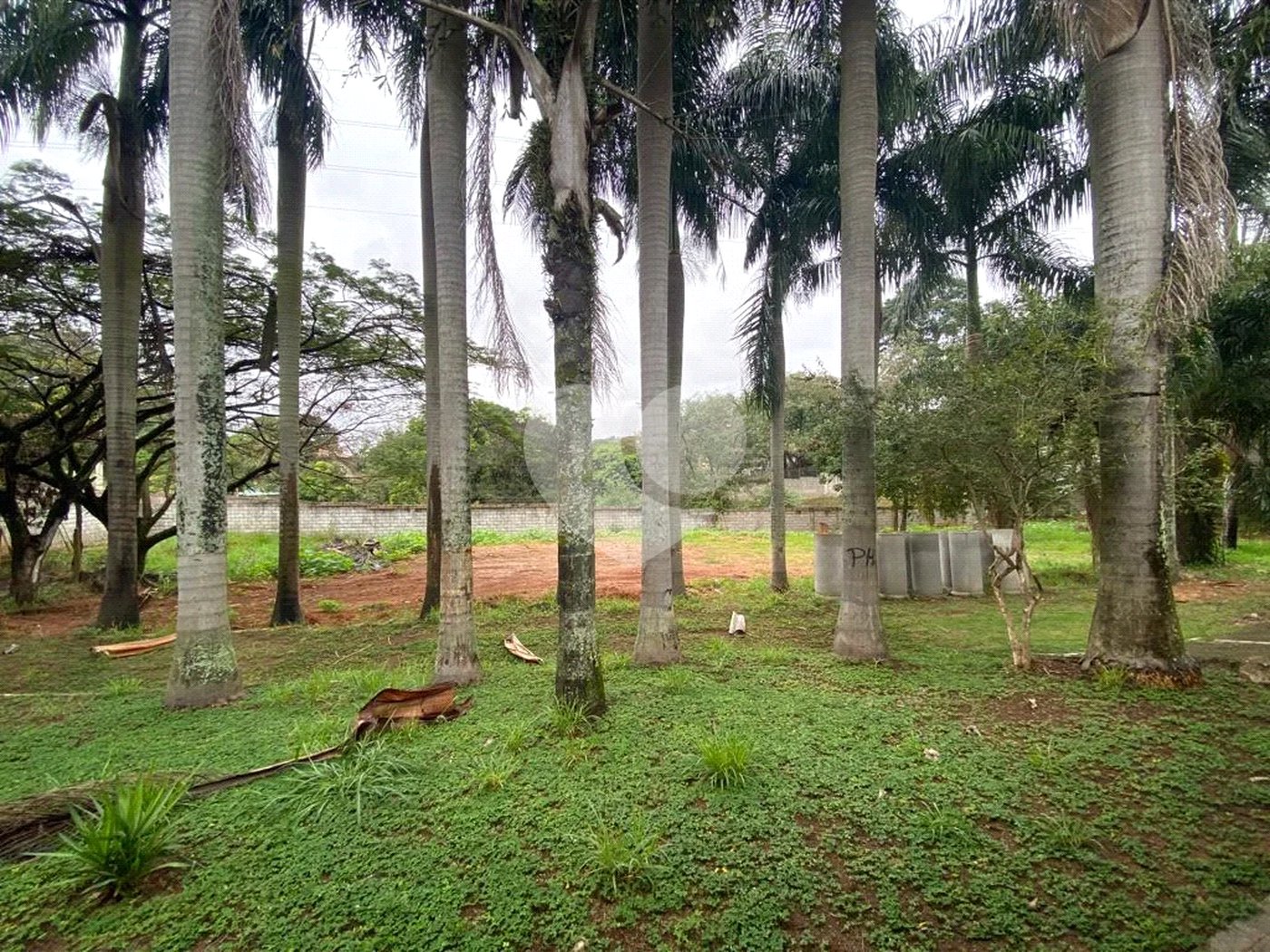 Casa à venda com 6 quartos, sendo 5 suítes,  em Santa Claudina, Vinhedo, SP
