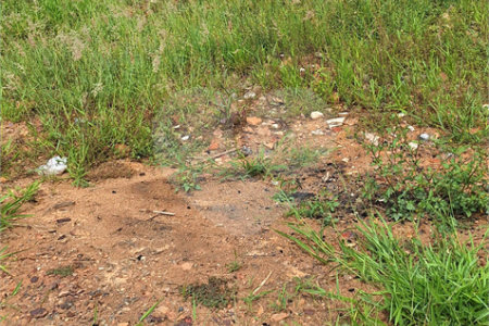 Terreno à venda em Cidade Nova, Bom Jesus dos Perdões, SP