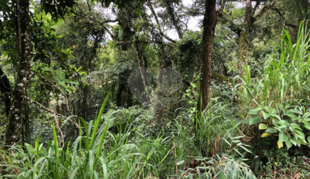 Terreno à venda no condomínio Gleba E1 E2, Mairiporã - SP