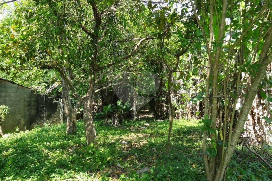 Terreno à venda em Horto Florestal, São Paulo, SP