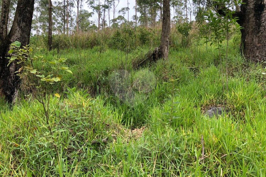 Terreno à venda em Serra da Cantareira, Mairiporã, SP
