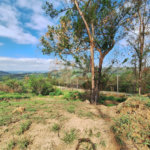 Área de Terra à venda com 1 suíte em Cocais, Itatiba, SP