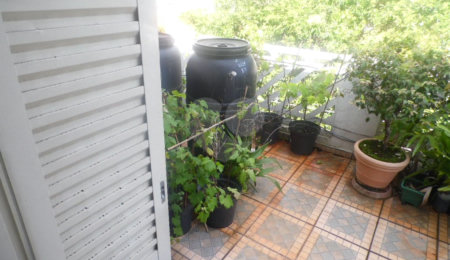 Sobrado à venda com 2 suítes em Tucuruvi, São Paulo, SP