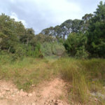 Terreno à venda no condomínio Residencial Sitio da Hortensias, São Roque - SP