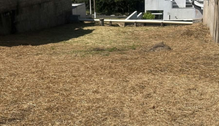 Loteamento à venda em Fazenda Santana, Valinhos, SP