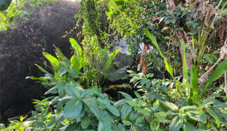 Terreno à venda em Tucuruvi, São Paulo, SP