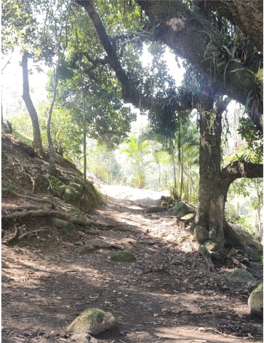 Terreno à venda em Campo Grande, Rio de Janeiro, RJ