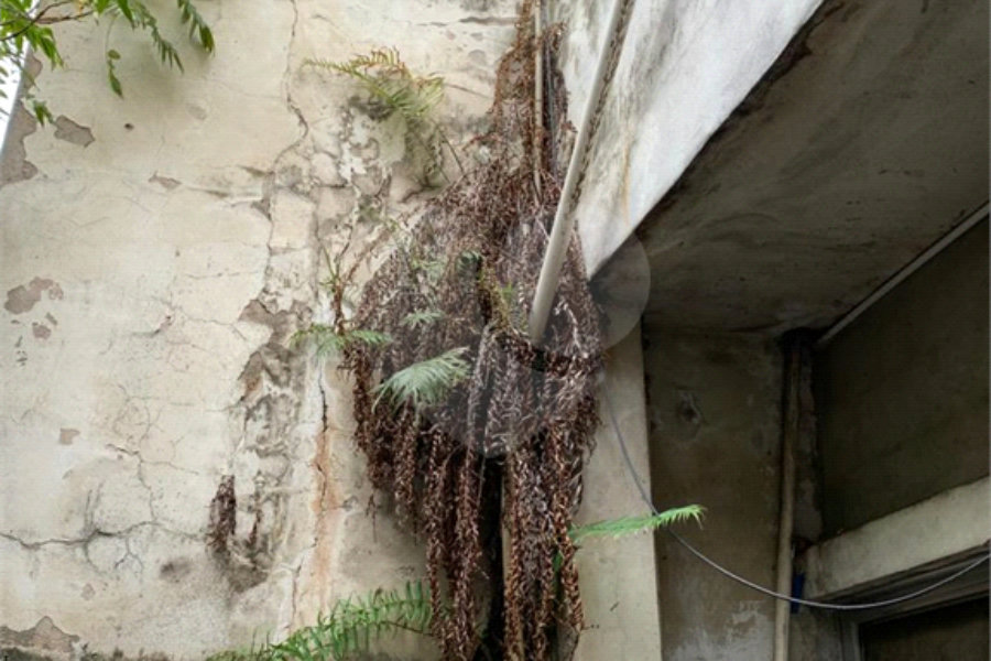 Casa à venda com 4 quartos em Mandaqui, São Paulo, SP