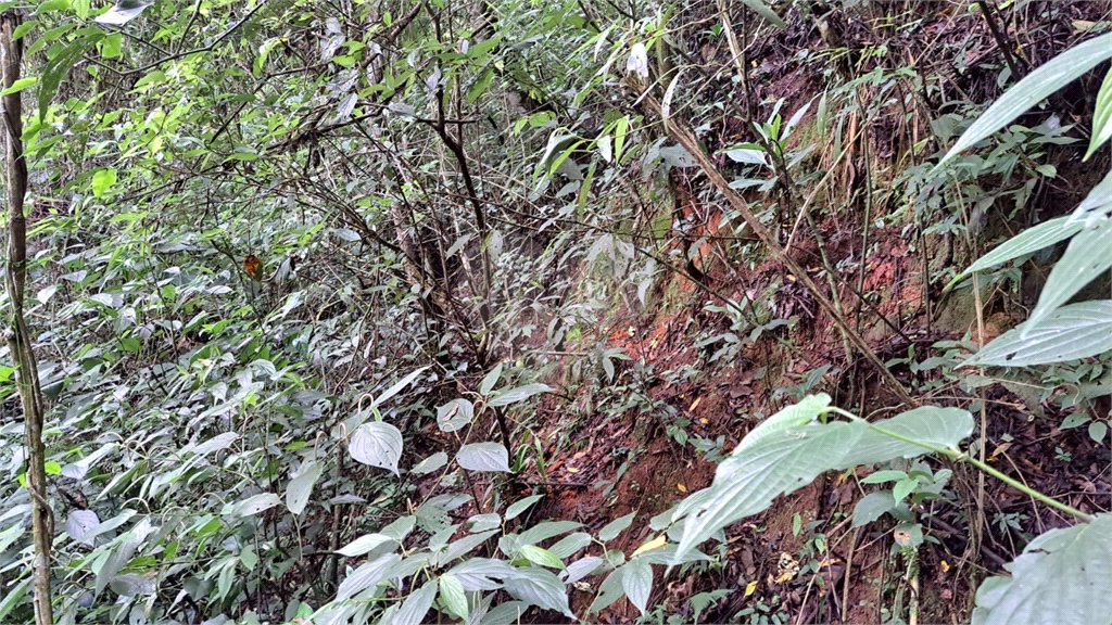 Terreno à venda em Serra da Cantareira, Mairiporã, SP