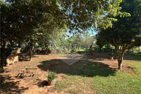 Chácara à venda em Jardim Universitário, Ponta Porã, MS