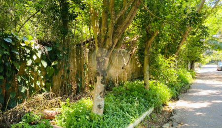 Terreno à venda em Interlagos, São Paulo, SP