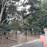 Sobrado à venda com 3 quartos, sendo 1 suíte, em Mandaqui, São Paulo, SP