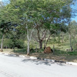 Área de Terra à venda em Monte Alegre, Vinhedo, SP
