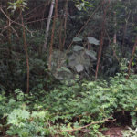 Terreno à venda no condomínio Campos de Mairiporã Gleba 1, Mairiporã - SP