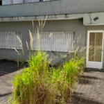 Casa Térrea à venda com 4 quartos, sendo 1 suíte, em Vila Guilherme, São Paulo, SP