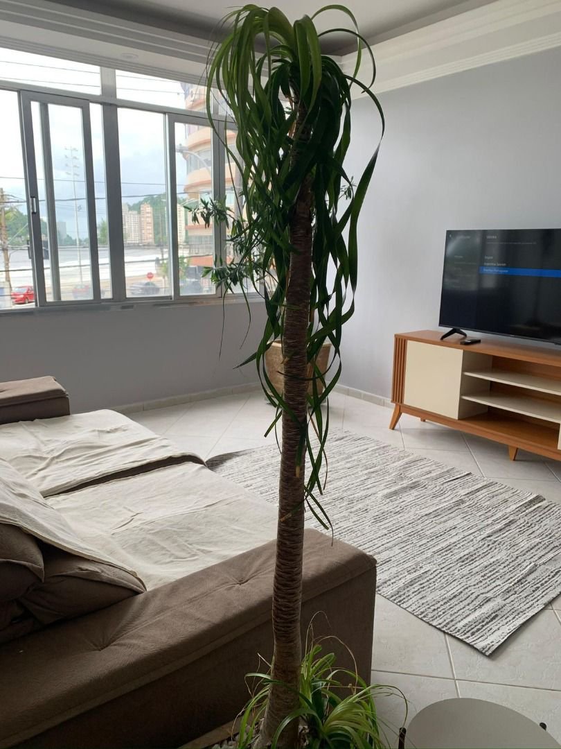 Apartamento com 2 dormitórios à venda, 84 m² por R$ 530.000,00 - Centro - São Vicente/SP